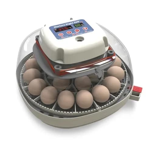 Harris Farms Nurture Right 360 Egg Incubator with Auto Turner, Holds 22 Eggs | Automatic Temperature & Humidity Control thumbnail 1