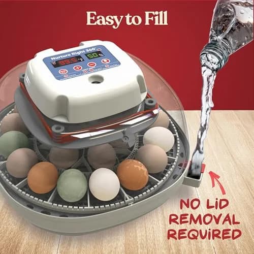 Harris Farms Nurture Right 360 Egg Incubator with Auto Turner, Holds 22 Eggs | Automatic Temperature & Humidity Control thumbnail 6