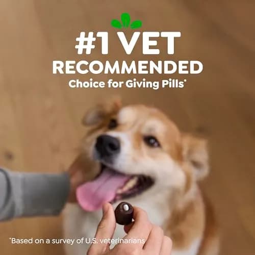 Greenies Pill Pockets Large Size Dog Treats, Cheese Flavor, 60 Count (Pack of 1) | Vet-Recommended Pill Hiders thumbnail 6