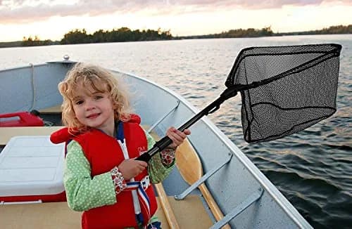 PLUSINNO 20"/52 cm Hoop Size 1.5M Telescopic Fishing Net | Catch and Release Landing Net with Belt Clip thumbnail 9