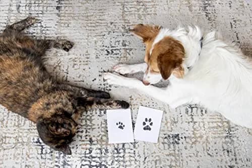Pearhead Paw Print Clean Touch Ink Pad Kit for Dogs and Cats, Black Ink, 1 Pad & 2 Cards | Mess-Free Pet Keepsake thumbnail 8