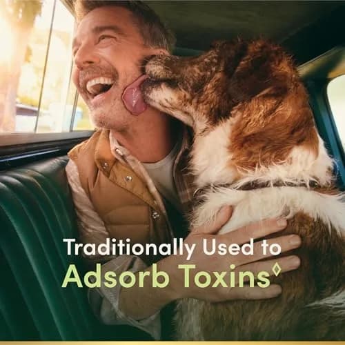 Nature's Bounty Activated Charcoal 260 mg | Detox & Toxin Adsorption Support thumbnail 2