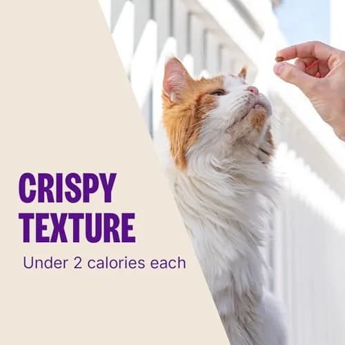 Wellness Kittles Crunchy Cat Treats Salmon & Cranberries Flavor 170g (6 oz) | Grain-Free Dental Snack thumbnail 7