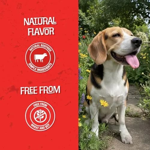 CHOMP 'EMS Purehide Bacon Flavored Sticks 8.5 oz | Long-Lasting, Protein-Rich Dog Chews thumbnail 5