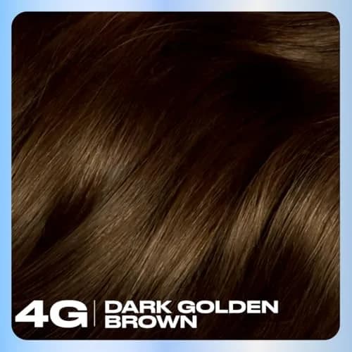 Clairol Nice'n Easy Permanent Hair Dye 4G Dark Golden Brown, 6.26 Fl Oz (Pack of 1) thumbnail 3