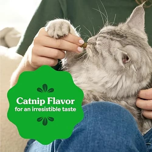 Greenies Feline Veterinarian-Recommended Dental Cat Treats, Catnip Flavor, 1.31 lb (594 g) Tub | Clinically Proven Oral Care thumbnail 8