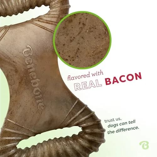 Benebone Dental Chew Toy for Dogs Large | Real Bacon, Durable USA Made thumbnail 2