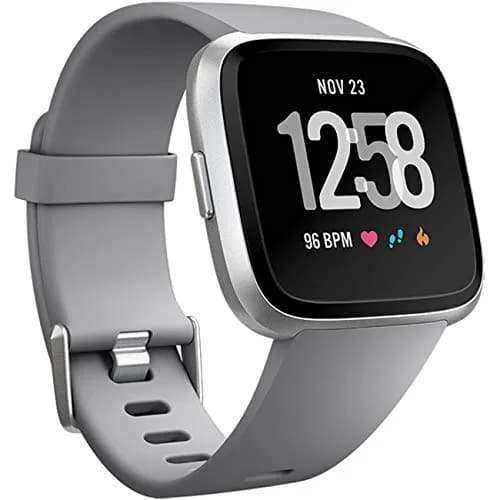Wepro Sport Bands for Fitbit Versa 2, Versa, Lite - Gray Large (22mm) | Breathable Elastomer with Stainless Steel Buckle thumbnail 1