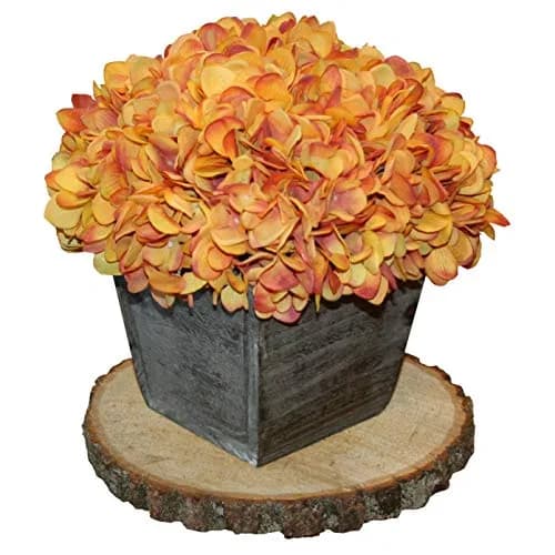 Wilson Basswood Round Rustic Wood Slice for Natural Décor, DIY Crafts (7-9") Set of Four | Rustic, Natural, Carvable thumbnail 4