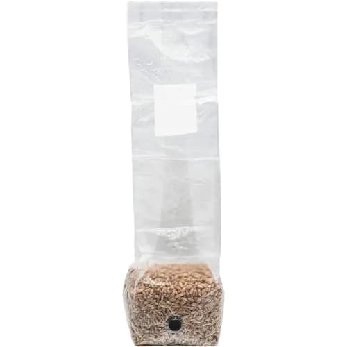 Out-Grow Sterilized Rye Berry Mushroom Substrate 6 pcs | Ready-to-Use, Self-Healing Port, 6 lb thumbnail 5