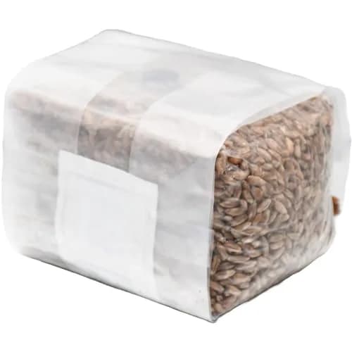 Out-Grow Sterilized Rye Berry Mushroom Substrate 6 pcs | Ready-to-Use, Self-Healing Port, 6 lb thumbnail 3