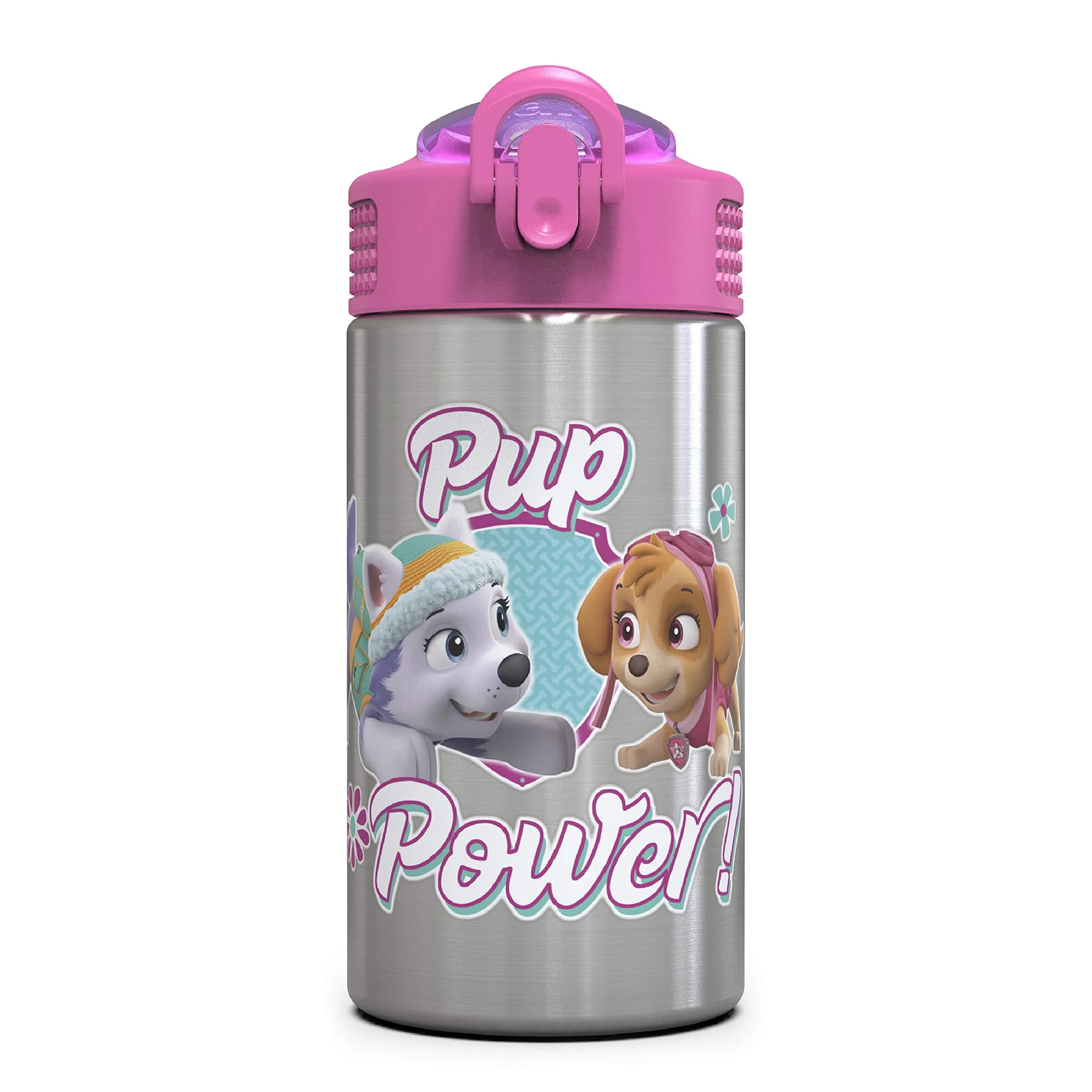 Zak Designs Paw Patrol Skye Stainless Steel Water Bottle 450ml (15.5 oz) | Leak-Proof Straw Spout for Kids — 15.5 Ounces