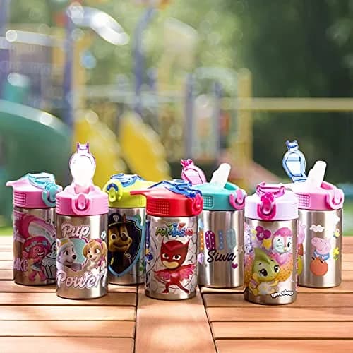 Zak Designs Paw Patrol Skye Stainless Steel Water Bottle 450ml (15.5 oz) | Leak-Proof Straw Spout for Kids thumbnail 2