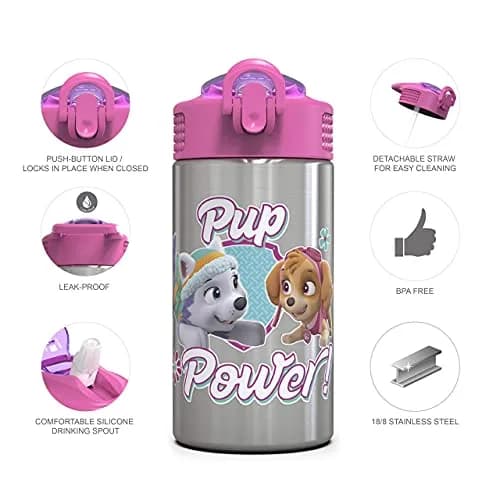 Zak Designs Paw Patrol Skye Stainless Steel Water Bottle 450ml (15.5 oz) | Leak-Proof Straw Spout for Kids thumbnail 3