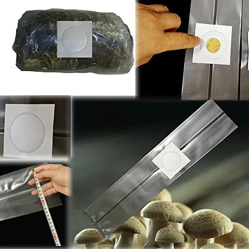SUCOHANS Mushroom Grow Bags Large 20cm x 12cm x 50cm (8" x 5" x 19") | Autoclavable with 0.2 Micron Filter thumbnail 4