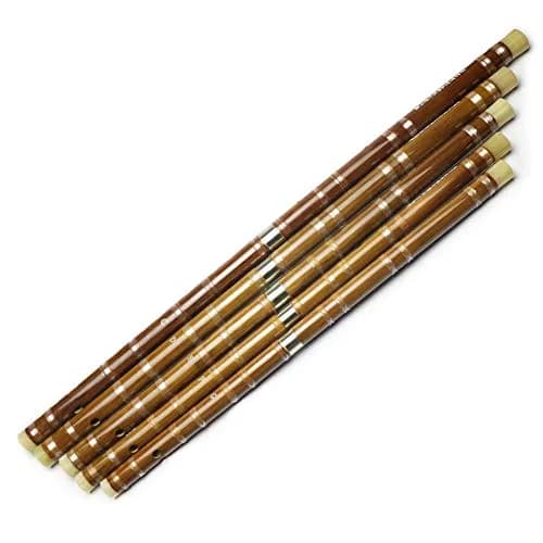 PHYSKOW G Key Dizi Bitter Bamboo Flute for Beginners | 48 cm (19 in) thumbnail 3
