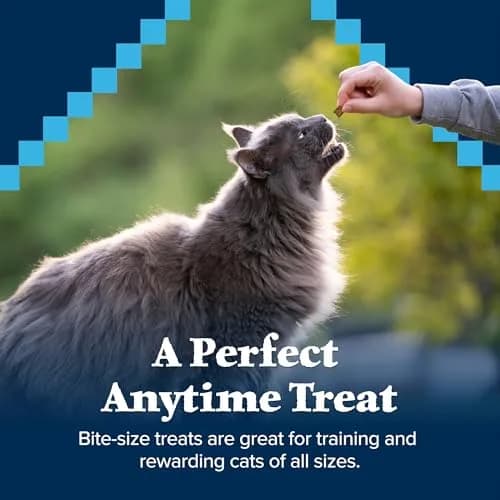 Blue Buffalo Wilderness Tasty Salmon Crunchy Cat Treats 340g (12 oz) | Grain-Free, Real Salmon First thumbnail 4