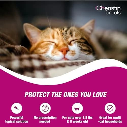 Cheristin Flea Treatment & Prevention for Cats 3 Doses | Fast-Acting Flea Control for Cats Over 1.8 lbs thumbnail 4