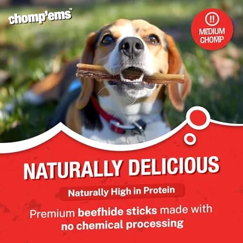 CHOMP 'EMS Bacon Flavored Purehide Sticks 12 oz | Natural Beefhide Dog Chews for All Sizes thumbnail 2