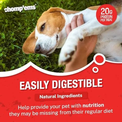 CHOMP 'EMS Bacon Flavored Purehide Sticks 12 oz | Natural Beefhide Dog Chews for All Sizes thumbnail 3