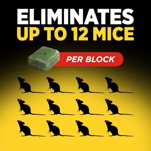 d-Con Mouse Poison Bait Station Refills, Corner Fit, 10 Count | Safer, Weather-Resistant Mouse Bait for Indoors & Outdoors thumbnail 8