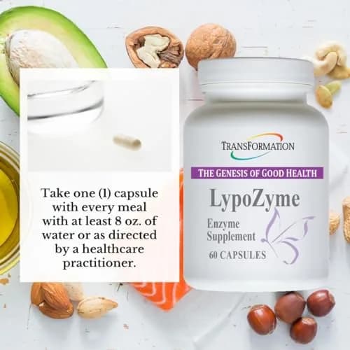 TRANSFORMATION LypoZyme Enzyme Supplement 60 Cap | Supports Digestion & Nutrient Absorption thumbnail 4