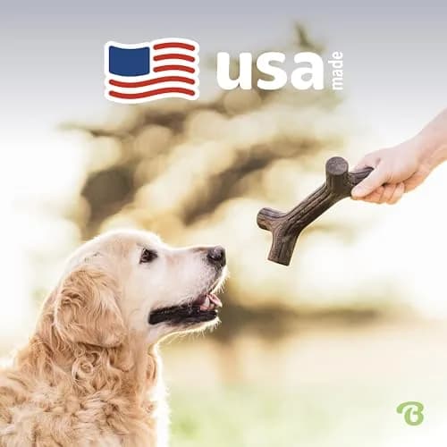 Benebone Maplestick Real Wood Durable Dog Chew Toy, Small | Long-Lasting USA Made Chew thumbnail 5