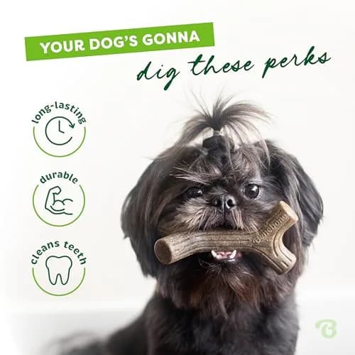 Benebone Maplestick Real Wood Dog Chew Toy, Medium | Durable, Made in USA, Long-Lasting thumbnail 3