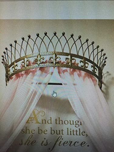 OctoRose Gold Metal Wall Teester Bed Crown Canopy 80cm (31.5in) | Antique Style Wall Decor with Built-in Rods & Hardware thumbnail 1
