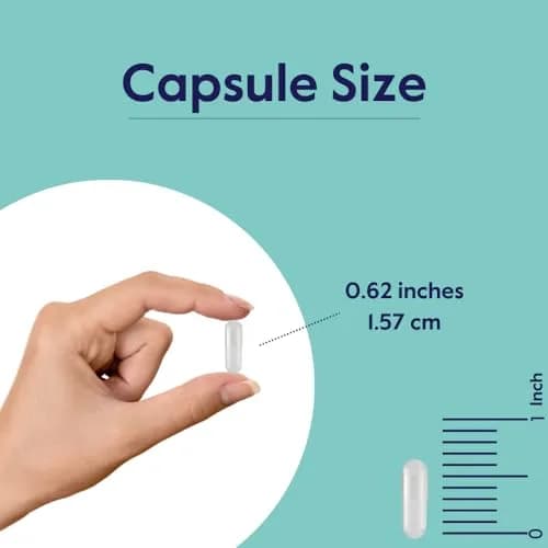 BESTVITE Benfotiamine 150mg (240 Veg Caps) (120x2) - No Stearates - Vegan | Supports Circulation & Nervous System thumbnail 4