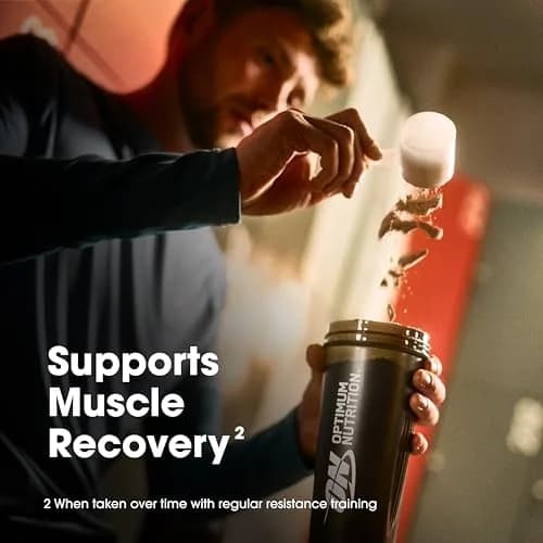 Optimum Nutrition Gold Standard Chocolate Hazelnut Whey Protein Powder 907g (2 Pound) | High Protein for Muscle Recovery thumbnail 6