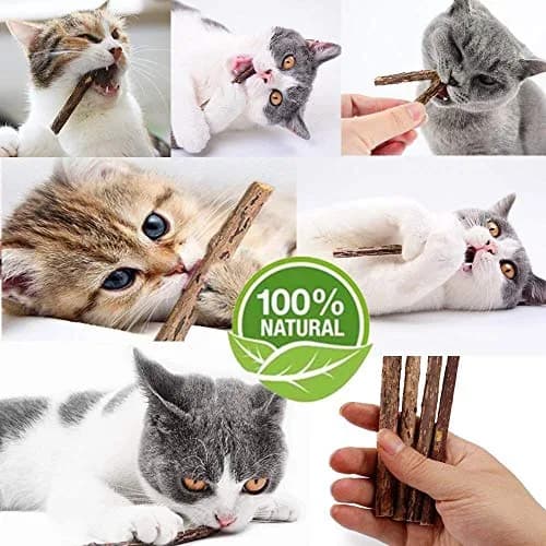 Ueerdand Organic Catnip Chew Sticks 10 pcs | Silvervine & Plant-Based Teeth Cleaner for Cats thumbnail 4