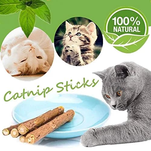 Ueerdand Organic Catnip Chew Sticks 10 pcs | Silvervine & Plant-Based Teeth Cleaner for Cats thumbnail 3