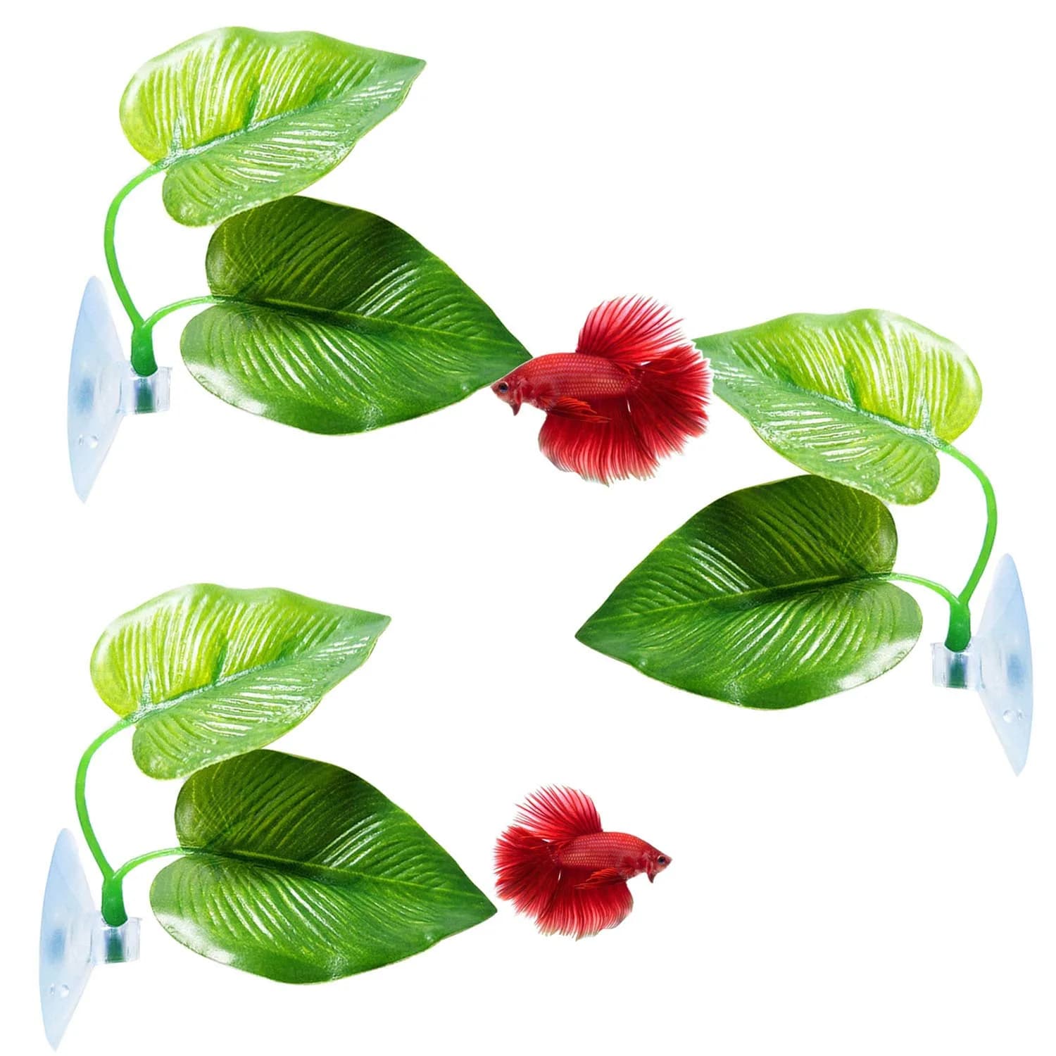 CousDUoBe 3 Pack Betta Fish Leaf Pad Hammock | Simulates Natural Habitat for Betta Health