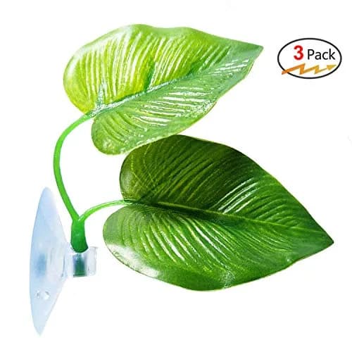 CousDUoBe 3 Pack Betta Fish Leaf Pad Hammock | Simulates Natural Habitat for Betta Health thumbnail 6