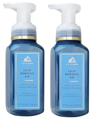 Bath & Body Works 2 Pack Crisp Morning Air Gentle Foaming Hand Soap 8.75 Oz | Refreshing Pine & Pear Scent for Sensitive Skin thumbnail 1