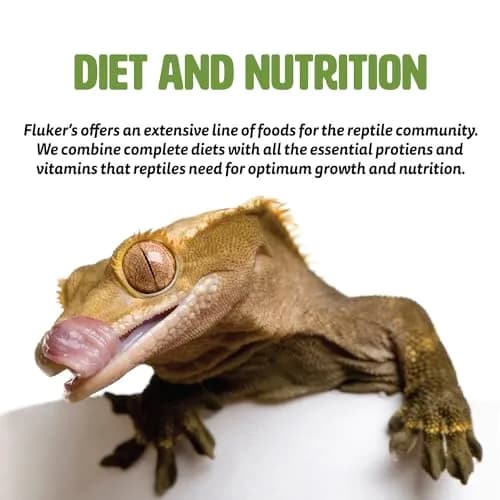 Fluker's Buffet Blend Box Turtle Diet, 6.5 oz | Complete Nutritional Blend for Reptiles thumbnail 4