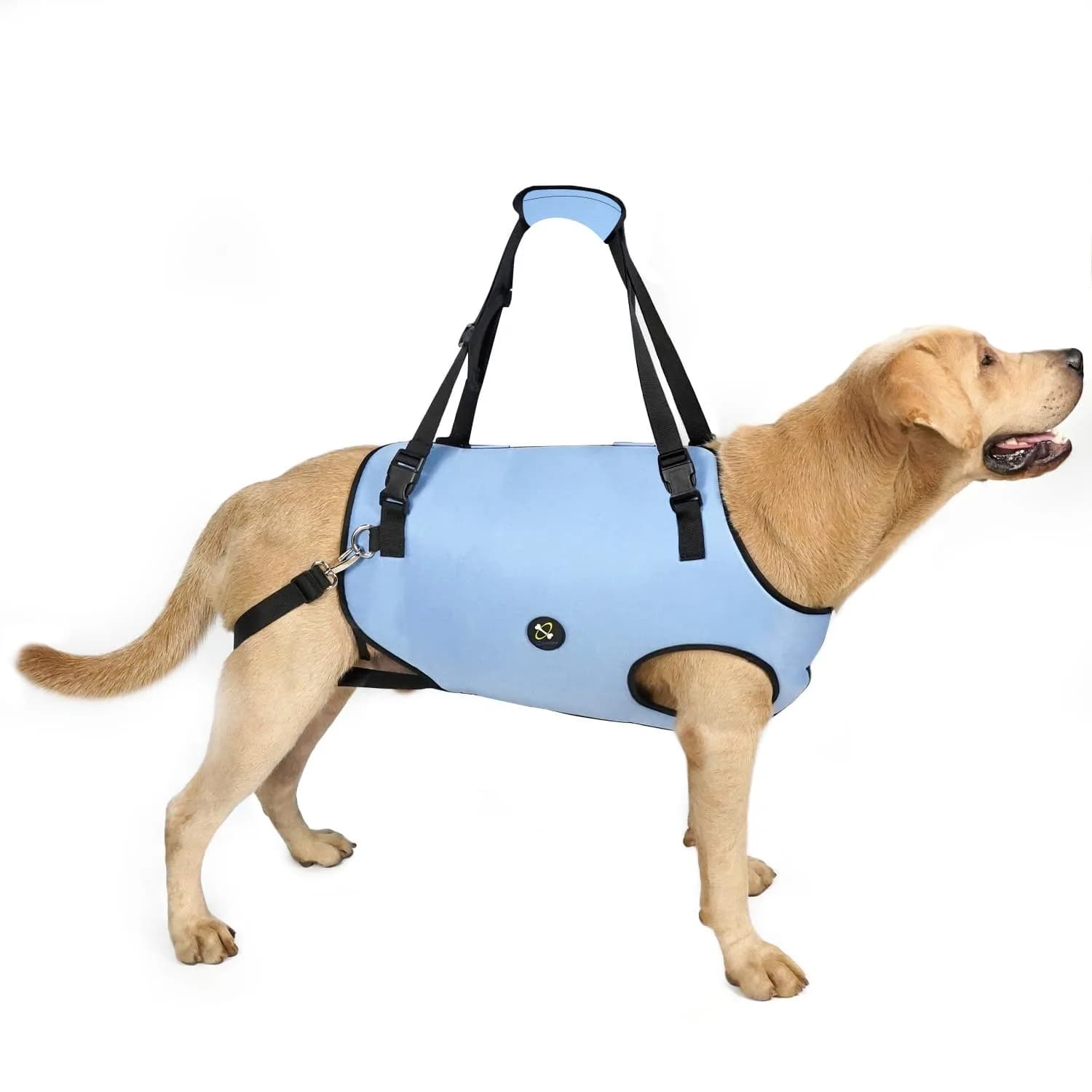 Coodeo Dog Lift Harness for Old & Disabled Dogs, Blue, Small (0.23 kg / 0.51 lb) | Adjustable Support Sling for Joint Injuries & Arthritis — Blue / Medium