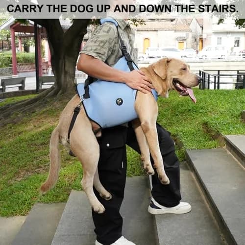 Coodeo Dog Lift Harness, Pet Support Sling M (Blue) | Adjustable Padded Straps for Senior & Disabled Dogs thumbnail 4