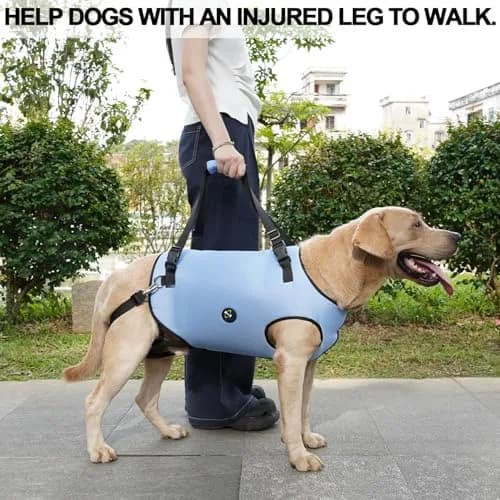 Coodeo Dog Lift Harness, Pet Support Sling M (Blue) | Adjustable Padded Straps for Senior & Disabled Dogs thumbnail 6