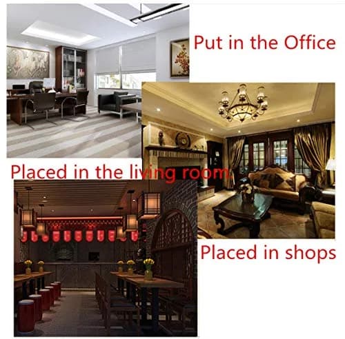 xiulin Feng Shui Bronze Pixiu Pair with Five Emperors Coins | Traditional Decorative Accents thumbnail 5