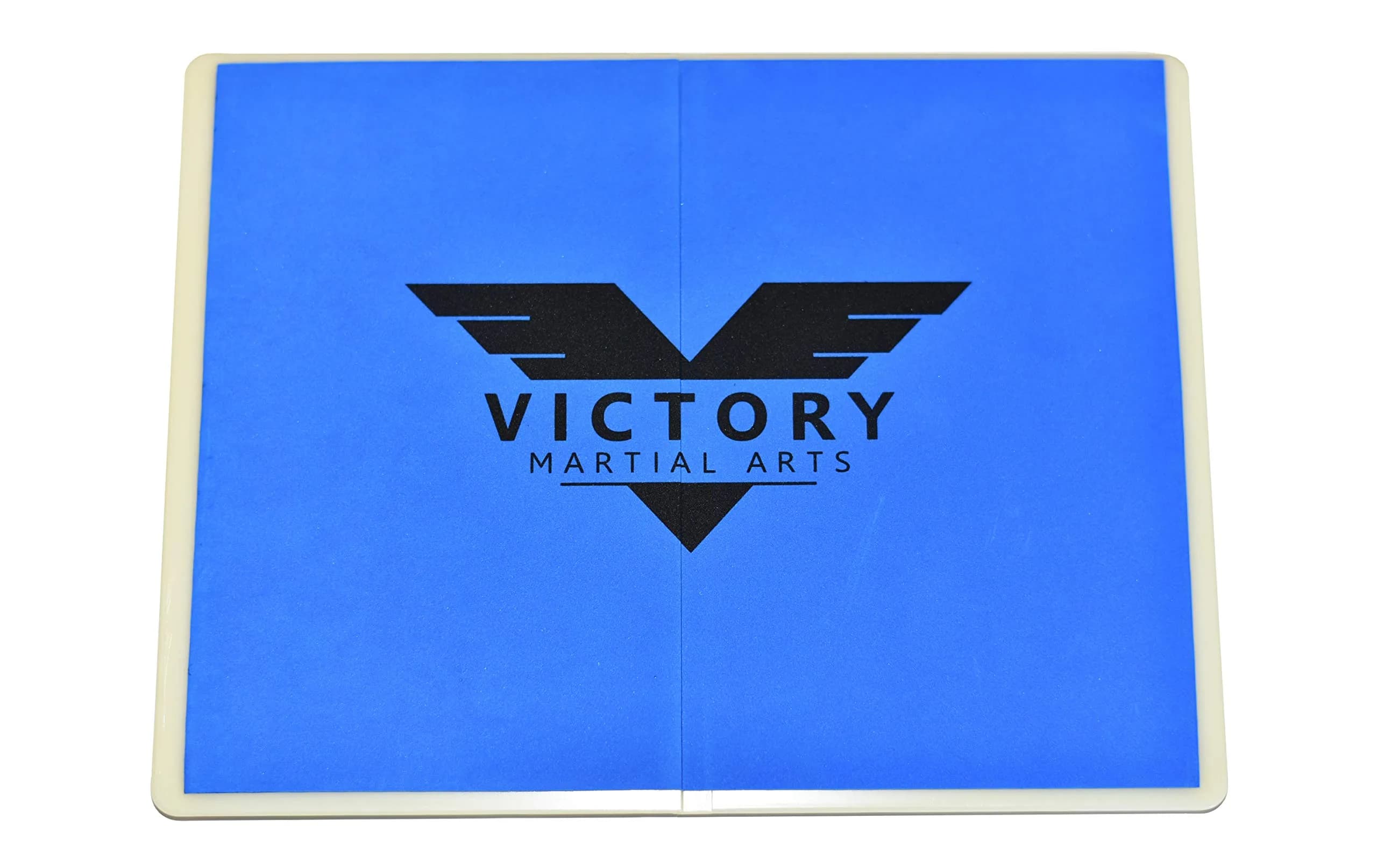 Victory Martial Arts Premium Rebreakable Boards Set of 4 | High Impact Plastic for Taekwondo & Karate Training — Blue (0.33")