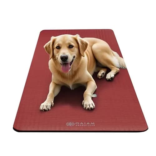 Gaiam Essentials Thick Yoga Mat with Easy-Cinch Strap (Red, 10mm / 0.39 Inch) | Extra-Thick Cushioning for Joint Comfort thumbnail 6