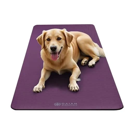 Gaiam Essentials Thick Yoga Mat 10mm (0.4 Inch) with Carrier Strap | Non-Slip Purple Exercise Mat thumbnail 6
