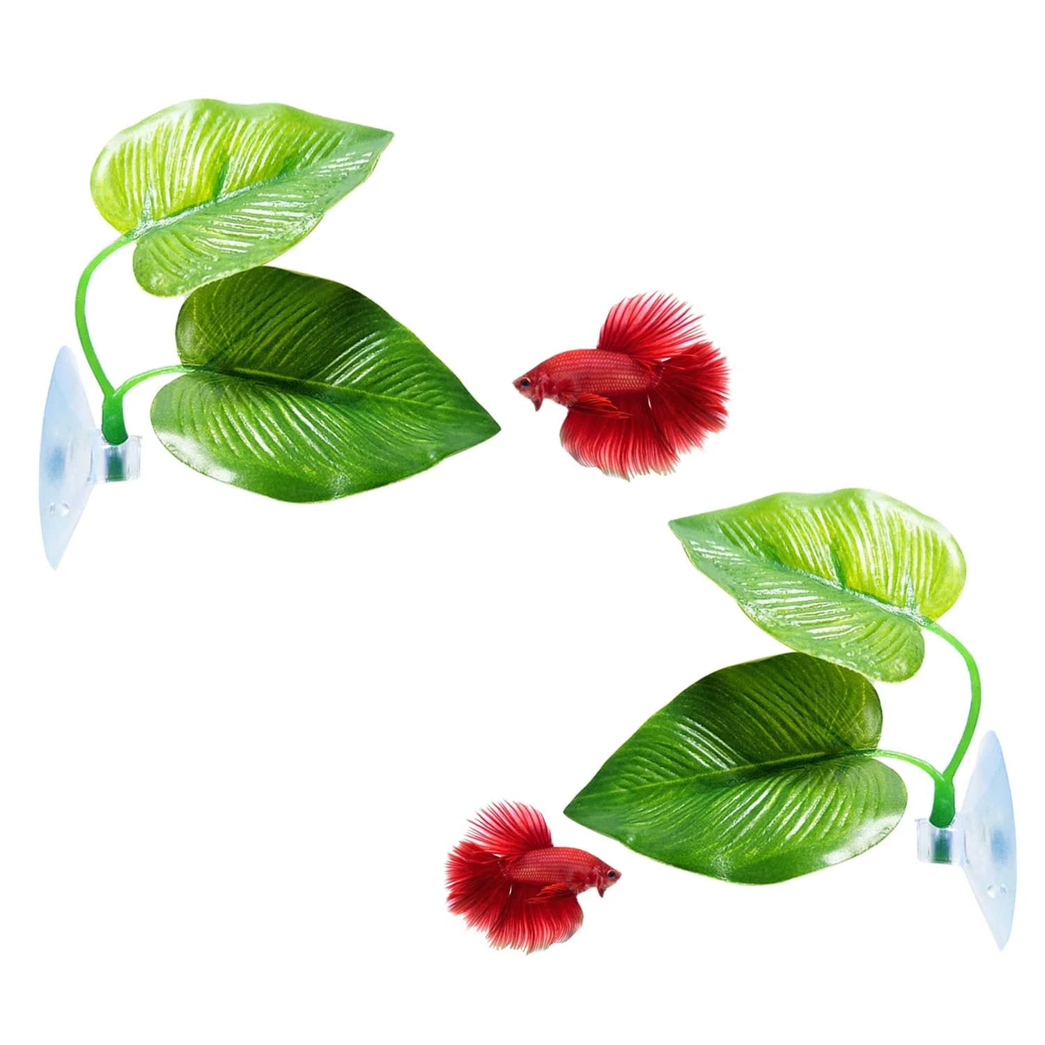 CousDUoBe 2 Pack Betta Fish Leaf Pad Hammock | Natural, Organic, Comfortable Rest Area for Fish Aquarium Ornaments - main product image