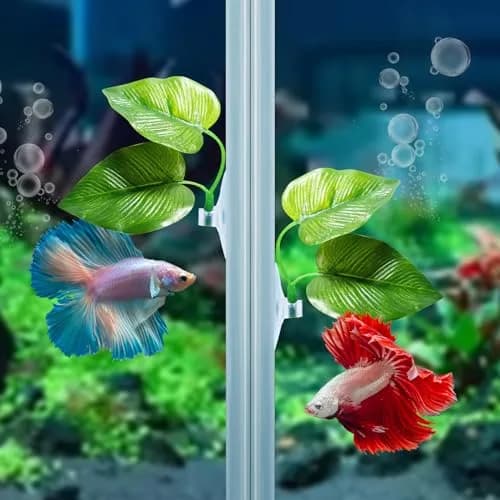 CousDUoBe 2 Pack Betta Fish Leaf Pad Hammock | Natural, Organic, Comfortable Rest Area for Fish Aquarium Ornaments thumbnail 5