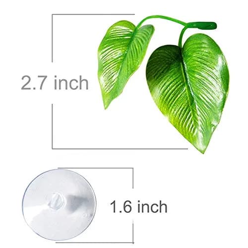 CousDUoBe 2 Pack Betta Fish Leaf Pad Hammock | Natural, Organic, Comfortable Rest Area for Fish Aquarium Ornaments thumbnail 3