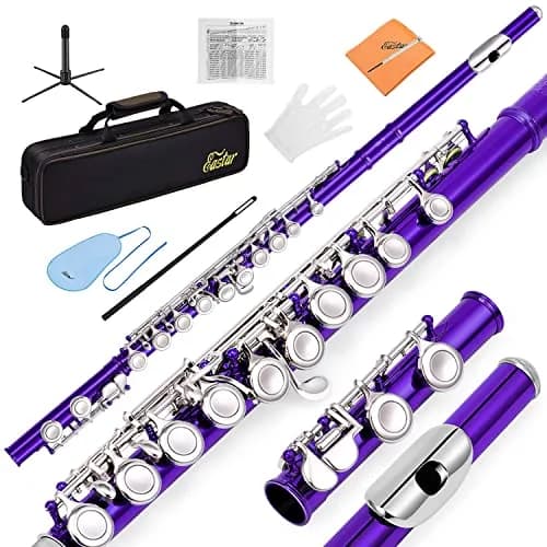 Eastar Closed Hole 16 Keys Flute for Beginner Kids Student with Fingering Chart, Cleaning Kit, Stand, Case, Gloves, Tuning Rod, Purple | Beginner Concert Flute thumbnail 1