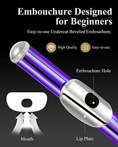 Eastar Closed Hole 16 Keys Flute for Beginner Kids Student with Fingering Chart, Cleaning Kit, Stand, Case, Gloves, Tuning Rod, Purple | Beginner Concert Flute thumbnail 2