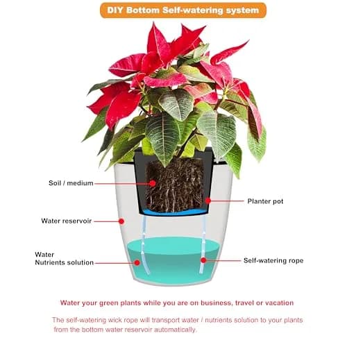 ORIMERC 30 ft 1/6 inch Self Watering Wick Cord for Plants | Automatic Hydroponic Watering System thumbnail 7
